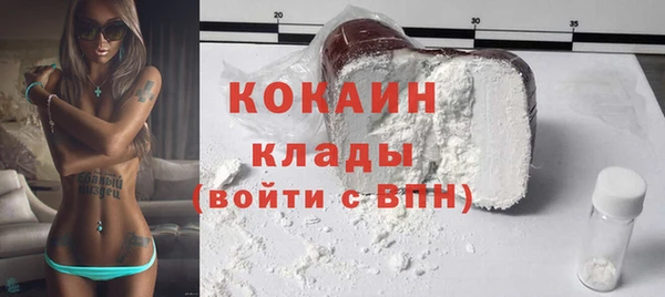 амф Богданович