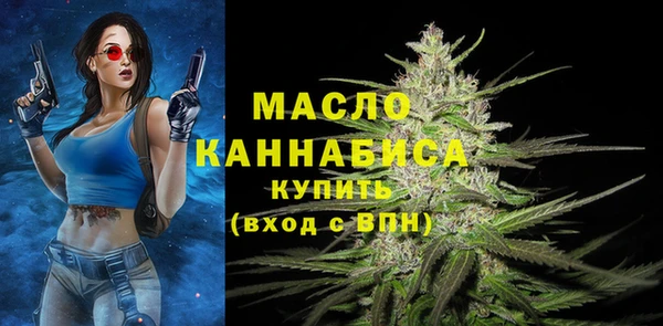 гидра Протвино