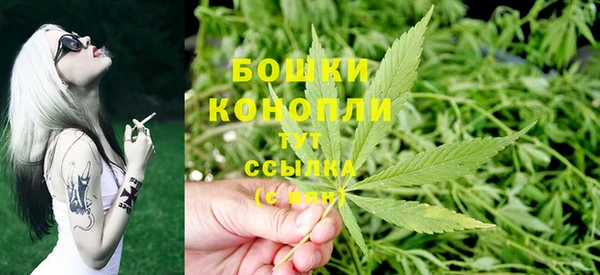 амф Бронницы