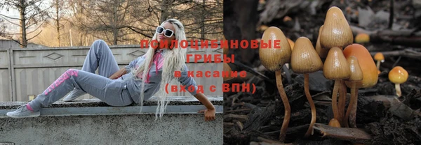 амф Бронницы