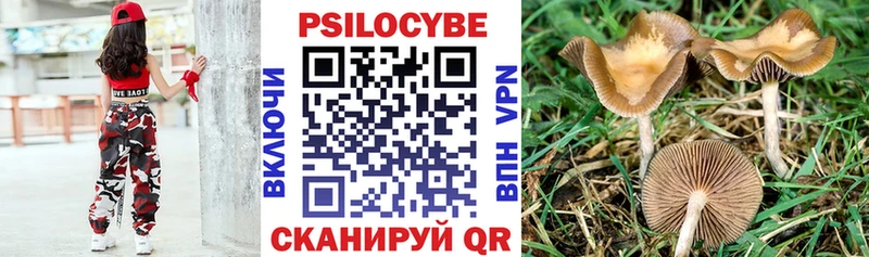 Псилоцибиновые грибы MAGIC MUSHROOMS  кракен сайт  Гай 